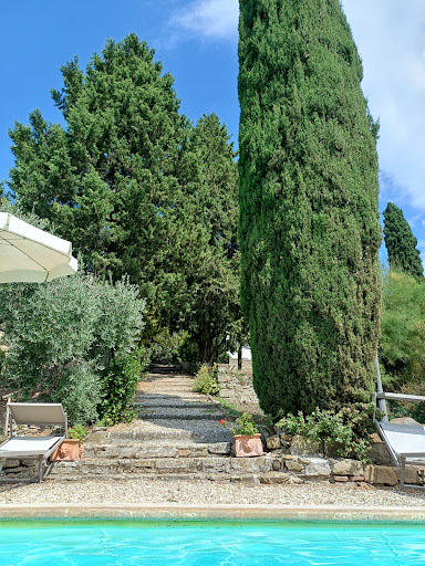 Photo from customer review